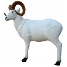 SRT Sheep :  ST26